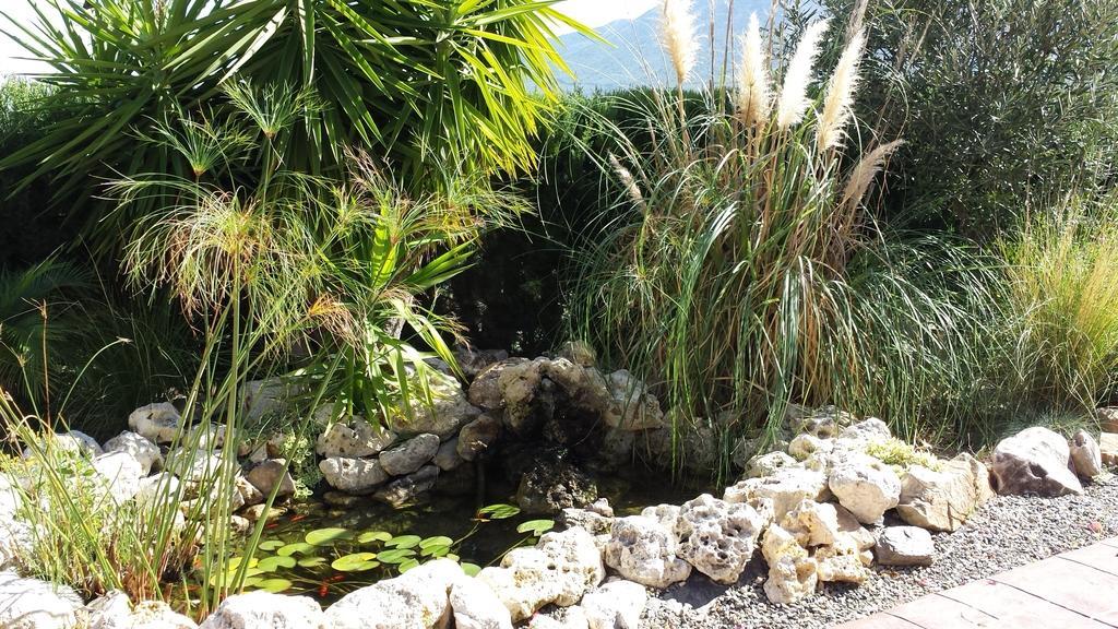Bed & Breakfast | Guest House Casa Don Carlos Alhaurin el Grande Bagian luar foto
