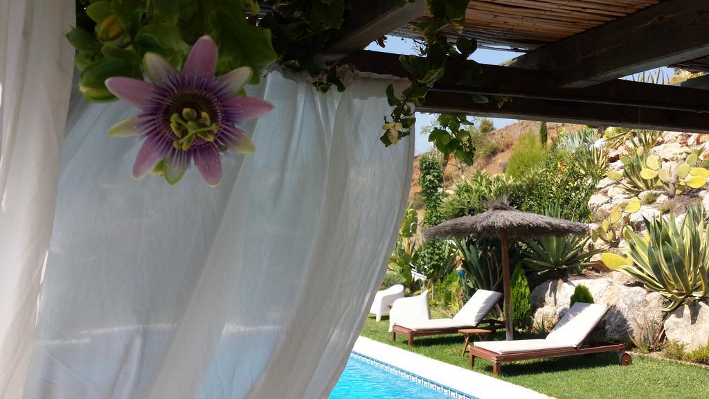 Bed & Breakfast | Guest House Casa Don Carlos Alhaurin el Grande Bagian luar foto