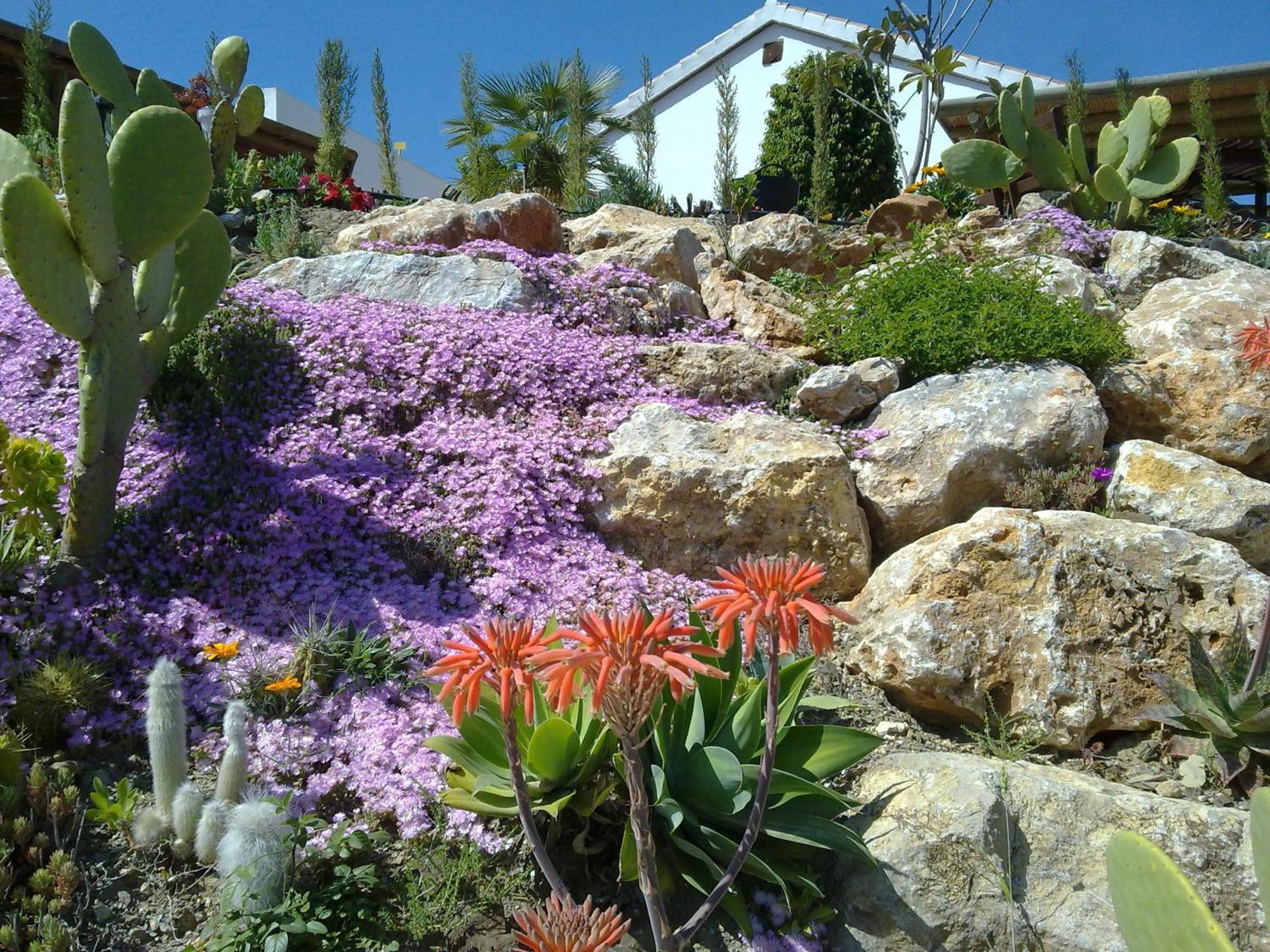 Bed & Breakfast | Guest House Casa Don Carlos Alhaurin el Grande Bagian luar foto