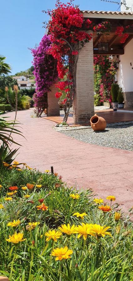 Bed & Breakfast | Guest House Casa Don Carlos Alhaurin el Grande Bagian luar foto